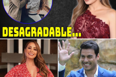 Un ambiente perfecto… hasta que dejó de serlo