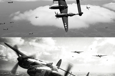 El piloto que aceptó despegar hacia un horizonte sin regreso, voló solo durante horas sobre mares y nubes hostiles, enfrentó el peso de una misión secreta y descubrió, al final, que el verdadero destino no siempre está escrito en los mapas