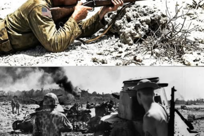 El Tirador Solitario que Derribó una Fortaleza de Acero: La Historia del Hombre que Transformó un Soplo de Calma en un Disparo Imposible Desde Seiscientos Metros