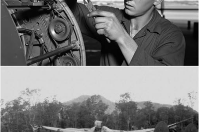 La “Idea Tonta” de un Mecánico que Hizo que los P-38 Superaran a los Zeros y Cambió el Destino de un Joven Piloto en el Pacífico