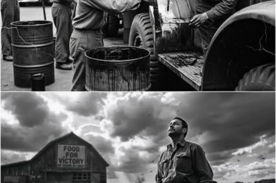 El “Truco Tonto” de un Granjero con Miel que Terminó Ayudando a Millones de Soldados Estadounidenses a Sobrevivir y Ganar la Guerra