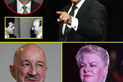 🔥😱 A los 55 años, Luis Miguel finalmente confirma un misterio oscuro: la verdad que nos ha dejado asombrados