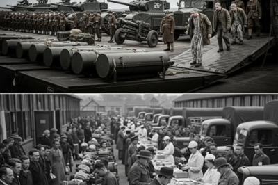 Cuando los prisioneros alemanes pisaron suelo británico y temieron lo peor, descubrieron una serenidad inesperada que desafiaba su memoria de guerra y transformaba cada certeza en una pregunta inquietante