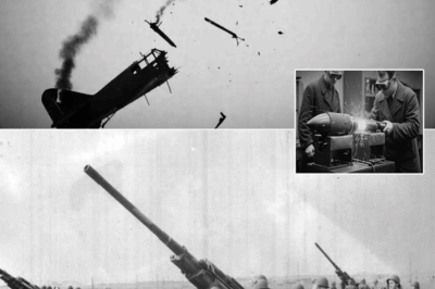 Cuando los alemanes vieron que las granadas “estallaban en el aire” sospecharon brujería: nadie les dijo que un secreto guardado como oro en Estados Unidos convertía cualquier batería de campaña en una guadaña invisible para formaciones enteras