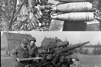 Creían conocer cada sonido de la artillería enemiga, se lanzaban al suelo esperando el estallido en la tierra… pero las nuevas granadas americanas empezaron a explotar suspendidas sobre sus cabezas, sin previo aviso, fruto de una discusión feroz entre oficiales que dudaban en usar un secreto guardado como oro