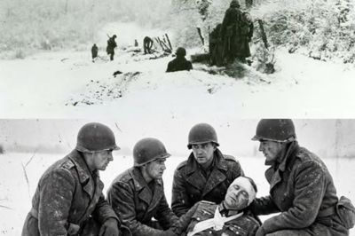 En un amanecer helado, cuatro soldados estadounidenses descubrieron que la compasión podía desafiar al invierno, cambiar el destino de un coronel enemigo y revelar un tipo de valentía que ningún uniforme enseñaba