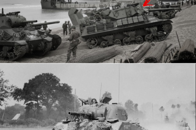 Cómo los cazacarros estadounidenses se convirtieron en la pesadilla