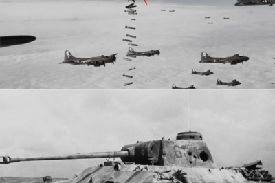 Los generales alemanes comprendieron demasiado tarde el mensaje del cielo: cuando los P-47 Thunderbolt de Estados Unidos comenzaron a rugir con ocho ametralladoras calibre .50, las columnas blindadas dejaron de ser invencibles y el miedo cambió de bando