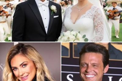 Aracely Arámbula y la confesión que nadie anticipó: la verdad emocional que transformó su historia