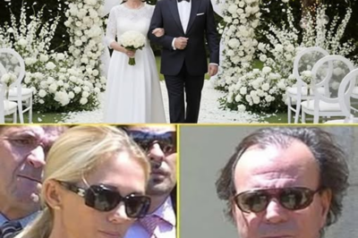 Julio Iglesias sorprende a los 82: una confesión tardía que reordena su historia y cambia el significado del amor