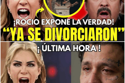 ¡Escándalo inesperado! En esta historia ficticia, Rocío Sánchez Azuara irrumpe con una revelación explosiva sobre el supuesto divorcio imaginado de Ángela y Nodal, mientras afirma que Pepe Aguilar oculta detalles clave, desatando un torbellino de misterio, tensión y secretos que estremecen el universo narrativo donde nada es lo que parece