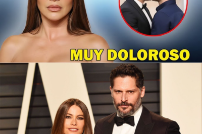 Un año después de su divorcio, Sofía Vergara ha confesado la verdad sobre su matrimonio