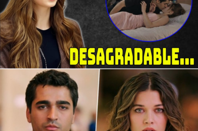 Lo que parecía una Navidad perfecta terminó en shock absoluto