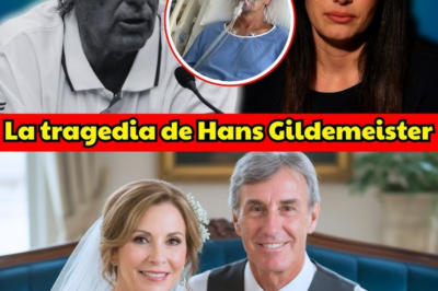 💰 Hans Gildemeister, 69 años: la fortuna que conmovió a su familia