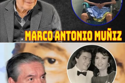 Tiene 93 años y desafía todas las expectativas: así es hoy la vida real de Marco Antonio Muñiz, marcada por silencios elegidos, memorias profundas y una cotidianidad inesperada que pocos imaginaban.