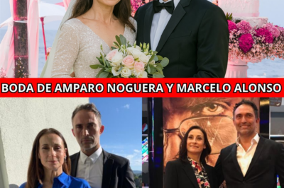 A sus 56 años, Marcelo Alonso hace pública su boda con Amparo Noguera y revela una sorpresa que nadie esperaba
