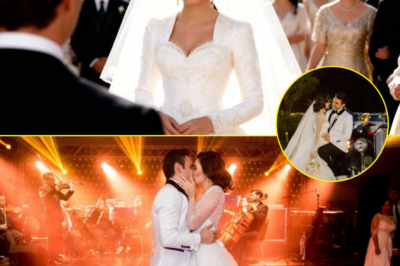 “Casarse a los 89 años”: Lucha Villa y la revelación que sorprendió por su significado, no por el escándalo