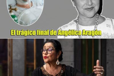 Entre lágrimas y recuerdos, el marido de Ángela Aragón enfrenta la tragedia más dura, comparte una confesión devastadora y deja al descubierto el vacío que dejó una ausencia imposible de llenar.