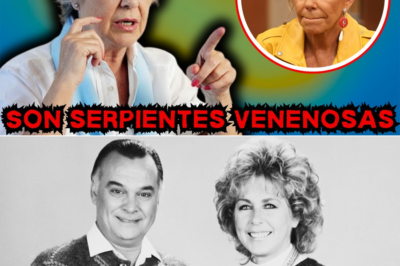 El legado silencioso de Gabriela Velasco: reflexiones finales, nombres nunca pronunciados y decisiones del pasado que, según su entorno, jamás logró perdonar